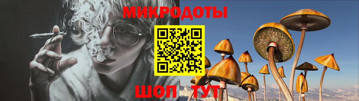 Галлюциногенные грибы прущие грибы Каменка