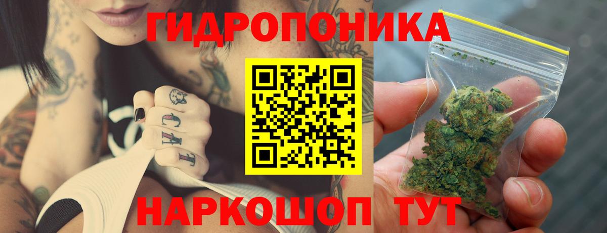 Шишки марихуана Ganja Каменка